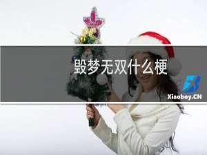 毁梦无双什么梗