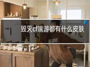 毁灭cf端游都有什么皮肤