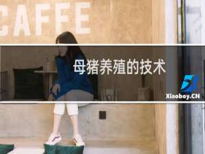 母猪养殖的技术