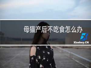 母猫产后不吃食怎么办