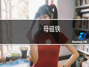 母磁铁