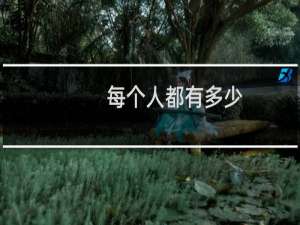 每个人都有多少