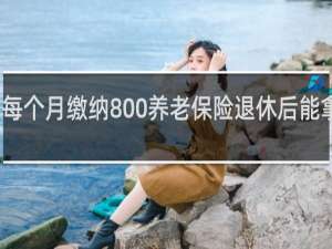 每个月缴纳800养老保险退休后能拿多少