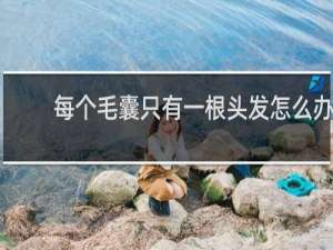 每个毛囊只有一根头发怎么办