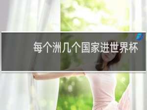 每个洲几个国家进世界杯