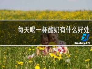 每天喝一杯酸奶有什么好处