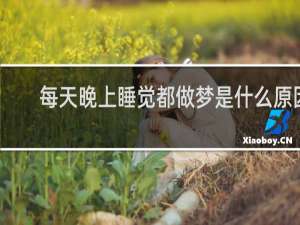 每天晚上睡觉都做梦是什么原因