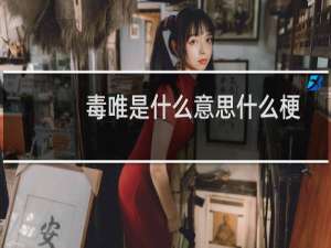 毒唯是什么意思什么梗