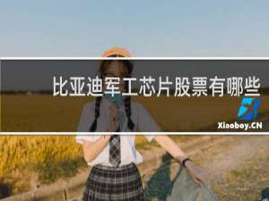比亚迪军工芯片股票有哪些