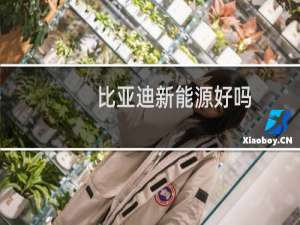 比亚迪新能源好吗