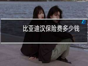 比亚迪汉保险费多少钱