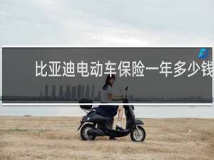 比亚迪电动车保险一年多少钱