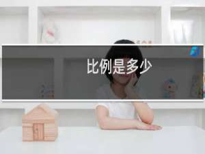 比例是多少