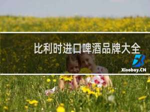 比利时进口啤酒品牌大全