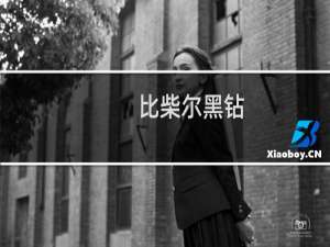 比柴尔黑钻（比柴尔是哪个国家的品牌）