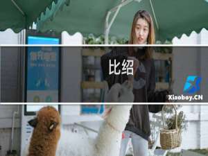 比绍
