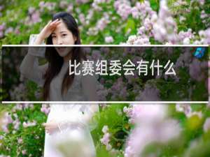 比赛组委会有什么