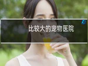 比较大的宠物医院