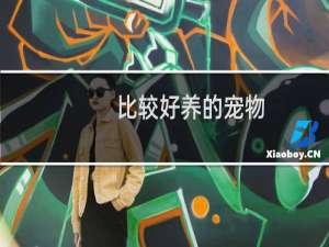 比较好养的宠物