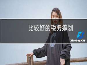 比较好的税务筹划