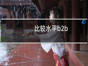 比较水平b2b