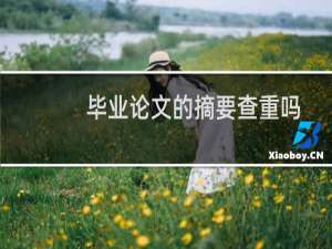 毕业论文的摘要查重吗