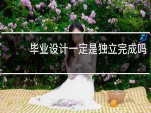 毕业设计一定是独立完成吗