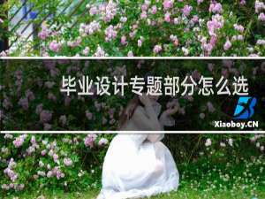 毕业设计专题部分怎么选