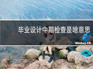 毕业设计中期检查是啥意思