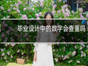 毕业设计中的数字会查重吗