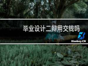 毕业设计二辩用交钱吗