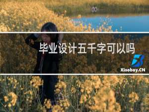 毕业设计五千字可以吗