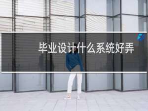 毕业设计什么系统好弄