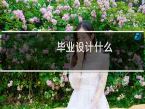 毕业设计什么