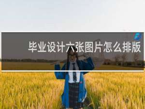 毕业设计六张图片怎么排版