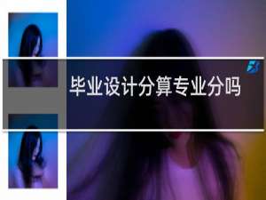 毕业设计分算专业分吗