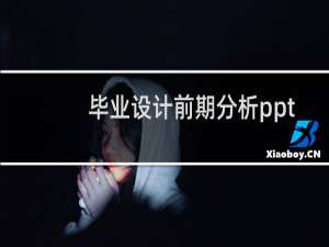毕业设计前期分析ppt