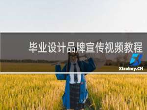 毕业设计品牌宣传视频教程