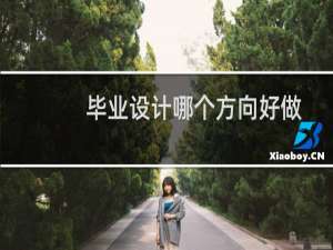毕业设计哪个方向好做