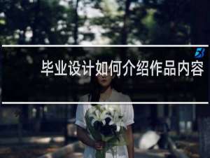 毕业设计如何介绍作品内容