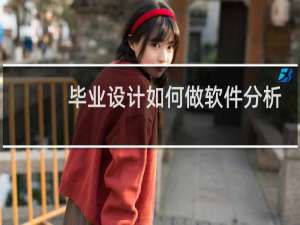 毕业设计如何做软件分析