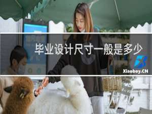 毕业设计尺寸一般是多少