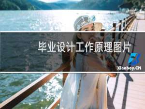 毕业设计工作原理图片