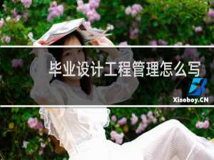 毕业设计工程管理怎么写