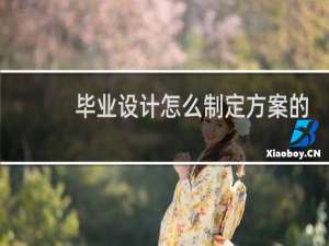 毕业设计怎么制定方案的