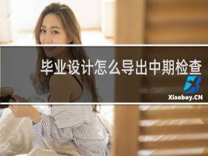 毕业设计怎么导出中期检查