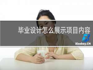 毕业设计怎么展示项目内容