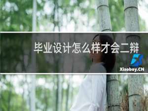 毕业设计怎么样才会二辩