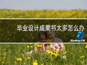 毕业设计成果书太多怎么办