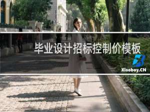 毕业设计招标控制价模板